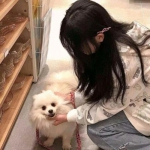 蓝月至尊高爆版回收版下载